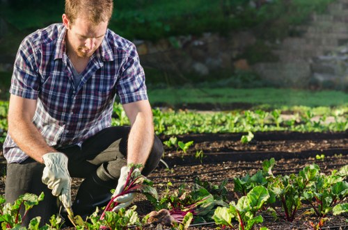 Team member preparing to work in a Beckenham garden with tools