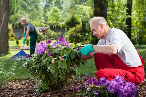 Training session on modern slavery awareness for garden staff