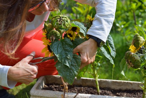Professional garden maintenance tools in Beckenham